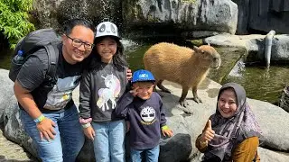 Liburan ke BALI Taman Safari #part3 