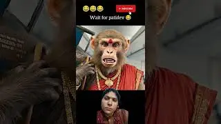 gas cylinder le lo re 😱🫣😃😆#funny #ytshorts#bandar #monkey #viralvideos #shorts #comedy #viral #video