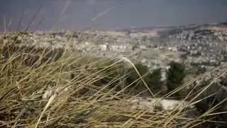 Израиль, Taglit Birthright Israel Experts