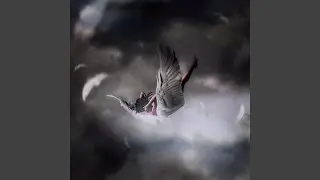 Eskimotion