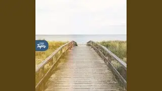 Relief