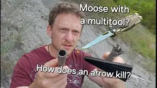 Alone, 11 сезон, 5 серия. Timber's Moose