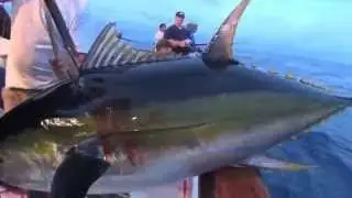 Independence Long Range Fishing, part 3