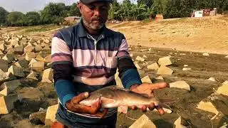 Daily River Fishing Life 🎣 A Story of Amateur Anglers 🐟