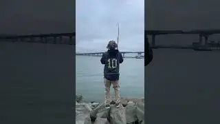 Bay fishing Berkeley/Treasure Island #SkunkatFirstSpot