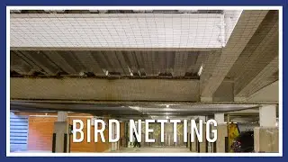 Bird proof netting (pigeon prevention from a large car park)