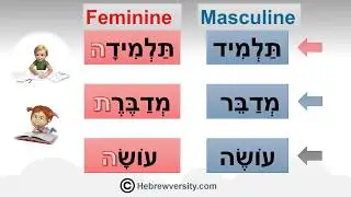 Hebrew Grammar: Gender and Number