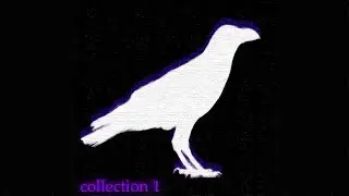 QHX - collection 1 / the crow