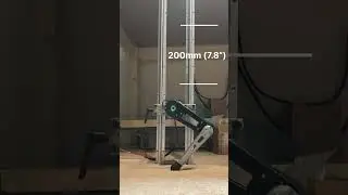 Robot dog leg jumping performance #quadrupedrobot #robotdesign