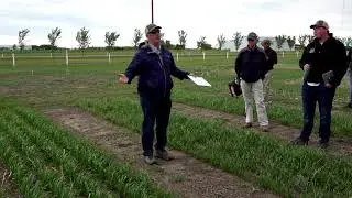 Plot Hop - Deep Banding Immobile Nutrients
