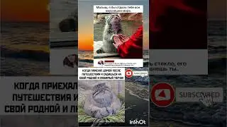 Мануляяяя.... #мем #смехпродлеваетжизнь #юмор #jokes #смешновидео #memes