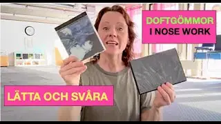 Tips om lätta och svåra doftgömmor i Nose Work
