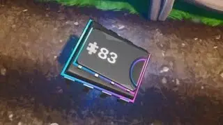 FOUND IN A ROCK GARDEN NEAR THE COAST! (Fortbyte #83)