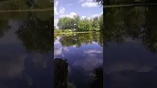 Пруд