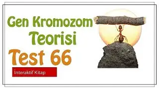 Test 66 #sayfa149