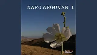 Meri Kekliğim