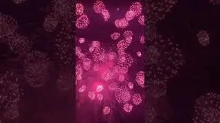 pink shower fireworks 4