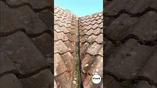 Anti moss treatment #atandc #mossdamage #propertymaintenance