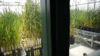 ModernNature 2minV3