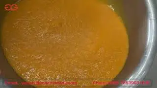 Mango Pulp Processing Unit Cost