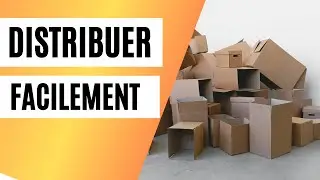 2 modes de distribution pour &eacute;couler vos produits - VENTE