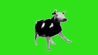 Yeşil Perde Dans Eden İnek Efekti - Dancing Polish Cow Green Screen Effects
