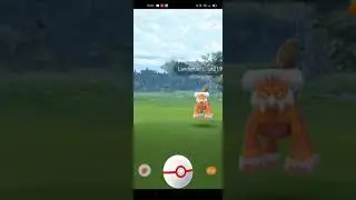 I caught landorus I was shaking XD
