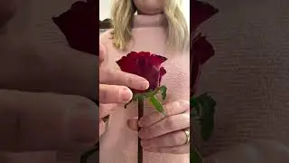 Florists don&rsquo;t want you to know this #roses #floral #flowers #flowerarrangement #style #florist