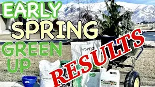 Spring Fertilizer Results | Early Green Lawn Domination Results