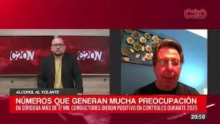 C20N - PABLO FARIAS - ALCOHOL AL VOLANTE