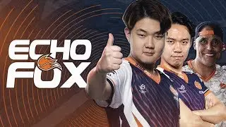 WE ARE ECHO FOX