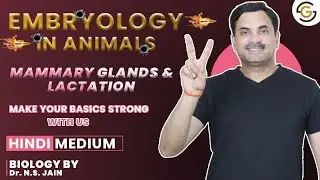 Mammary Glands & Lactation (Embryology in Animals) | Hindi Medium #neet