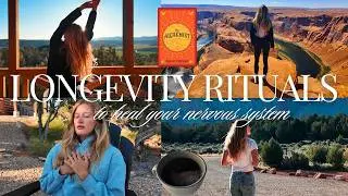 Habits to Calm Your Nervous System & Support Longevity | easy and simple healthy rituals