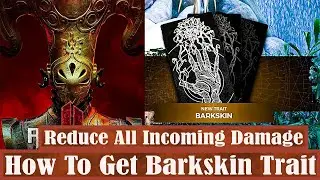 Remnant 2 How To Get Barkskin Trait Reduce All Incoming Damage Full Conversion