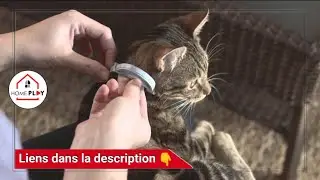 Collier Anti-Puces et Anti-Tiques pour Chats SERESTO