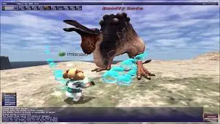 FFXI | Deadly Dodo (Dodo Skin)