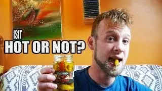 Hot Or Not? - Pickled Hot Chillies