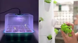 Seed Sprouter and Hydroponics Tower  (Feature Products)
