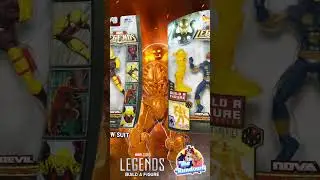 Marvel Legends NEMESIS Build a Figure Wave 2009 - The Rundown