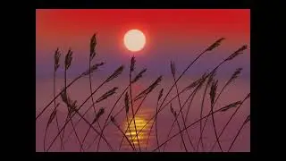 Sunset Procreate Time Lapse