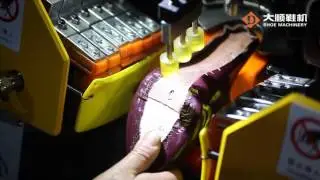 DS 658 Automatic Counter & Side Lasting Machine