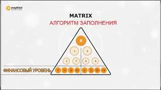 Вариант покупки BASIC   Plus   Easybizzi