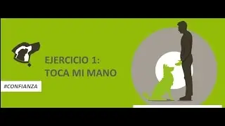 EJERCICIO 1: Toca mi mano