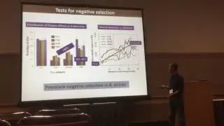 Wang: Population genomics of Boechera stricta reveals demographic history