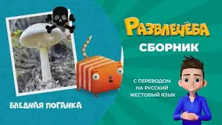 Развлечёба. Сборник. С переводом на русский жестовый язык.