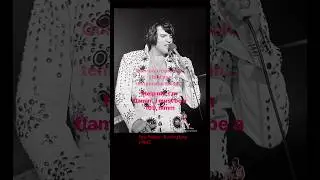 Lord Almighty, I feel my temperature risin' - Elvis Presley - Burning Love LYRICS