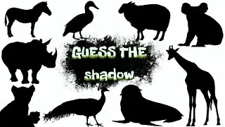 GUESS THE SHADOW 🤔 | Animals & Birds Shadow Game for Kids 🐘🦆🦚