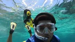 Caribbean Snorkel Series-Cuba UHD