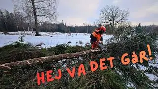 Upp till skogen och lastar, fäller och kör på!