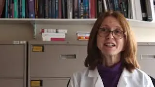 Dr  Susan B Roberts describes IWCR